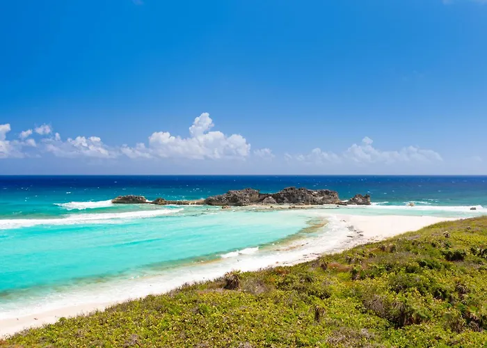 Dragon Cay Resort Mudjin Harbour Conch Bar